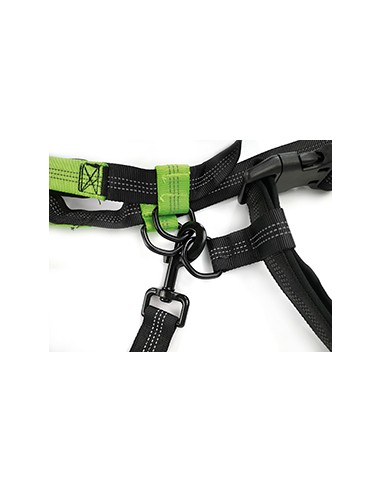 hands free jogging dog leash