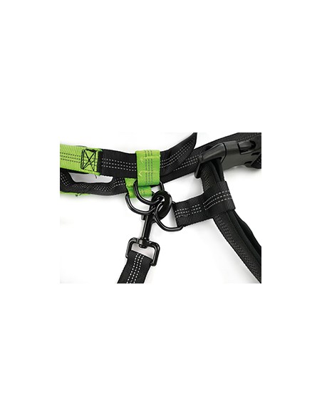 hands free jogging dog leash hands free jogging dog leash