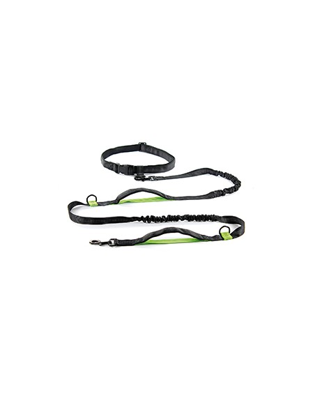 Jogging and hiking dog leash with waist belt Jogging and hiking dog leash with waist belt