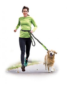 jogging dog  leash with waist belt