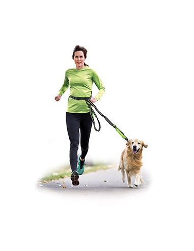 jogging dog  leash with waist belt