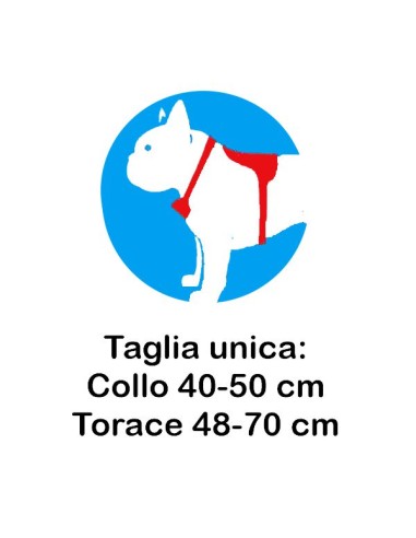 Pratiko pet hanatomika harness for French bulldog