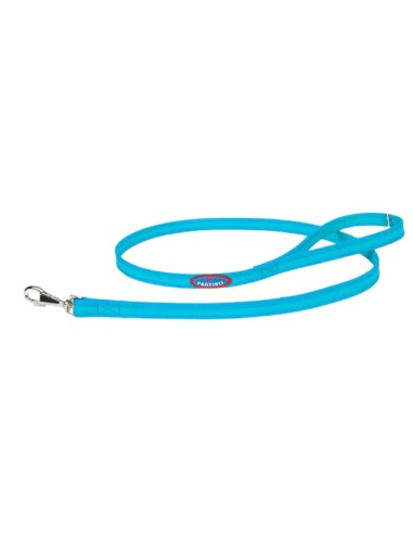 Pratiko pet light blue dog leash