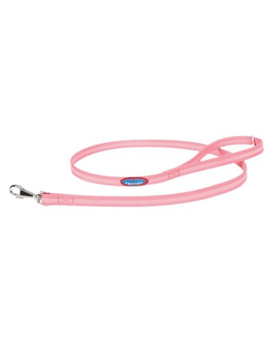 Pratiko pet pink dog leash