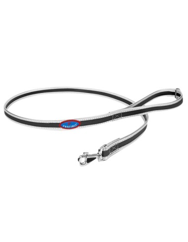 Ribbon trim dog leash