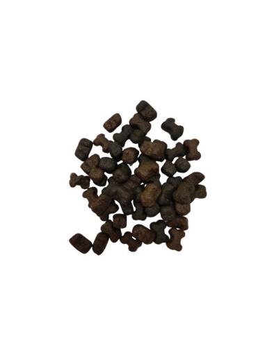 biscotto naturale per cane e gatto per sistema immunitario primispet