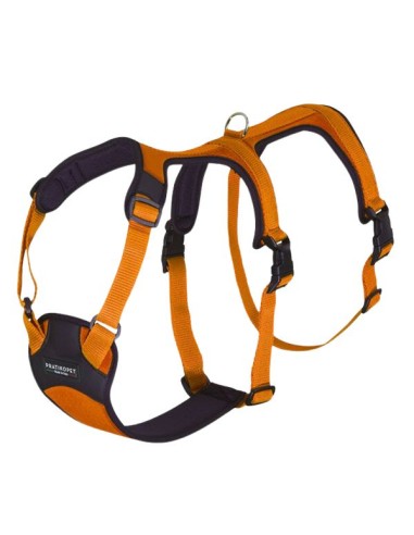 Orange double H escape-proof dog harness