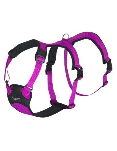 double H escape-proof dog harness bright purple