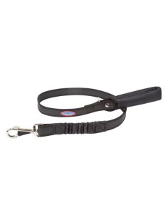 Pratiko Pet shock absorbing stretch dog leash