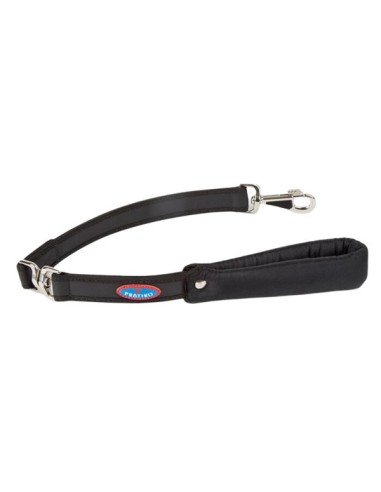 padded handle dog leash with swivel ring