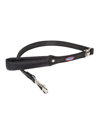 padded handle dog leash with swivel ring