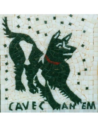 cave canem diy mosaic kit