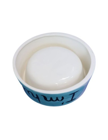 Faience ceramic dog bowl hand painted in italy