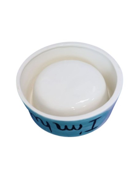 Faience ceramic dog bowl hand painted in italy