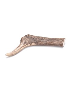 natural deer antler
