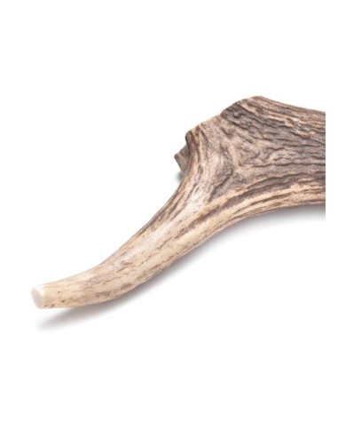 natural dogs chew deer antler