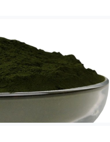 Chlorella is a natural complementary food for dogs, cats and horses.