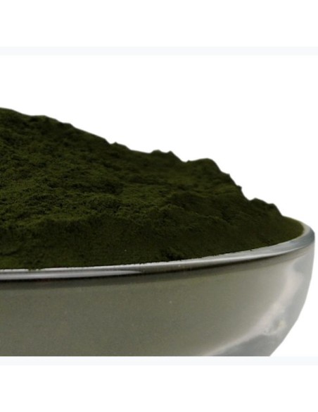 Chlorella is a natural complementary food for dogs, cats and horses.