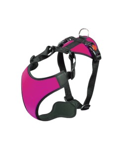 English bulldog  neoprene fuchsia harness hanatomika