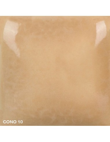 Mayco Foundation opaque smooth high gloss finish cone 10 mushroom