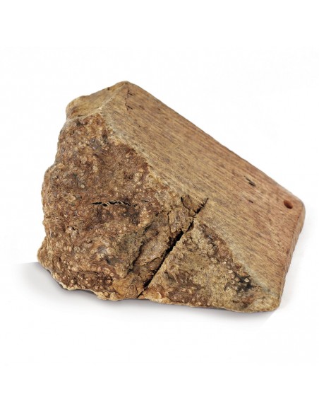 Gioco per cani naturale ed ecosostenibile realizzato con radice di erica Gioco per cani naturale ed ecosostenibile realizzato con radice di erica