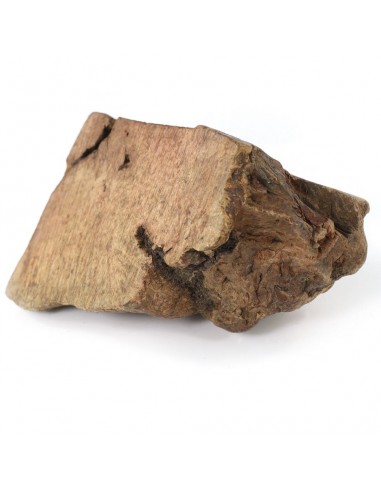 Gioco per cani naturale ed ecosostenibile realizzato con radice di erica