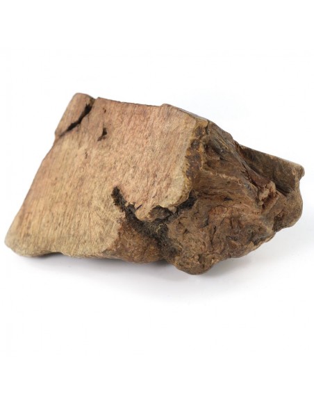 Gioco per cani naturale ed ecosostenibile realizzato con radice di erica Gioco per cani naturale ed ecosostenibile realizzato con radice di erica