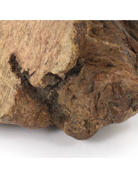 Gioco per cani naturale ed ecosostenibile realizzato con radice di erica Gioco per cani naturale ed ecosostenibile realizzato con radice di erica